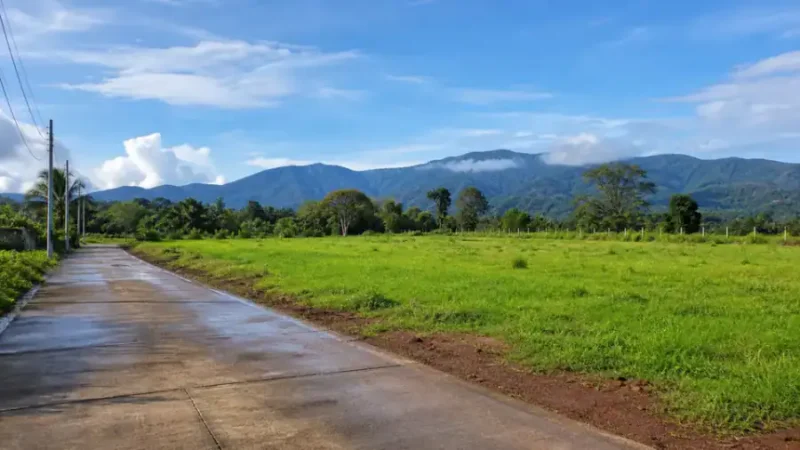 ที่ดินวิวภูเขา จังหวัดพิษณุโลก